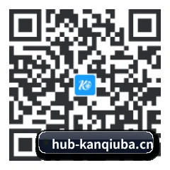 系统版 iOS 二维码